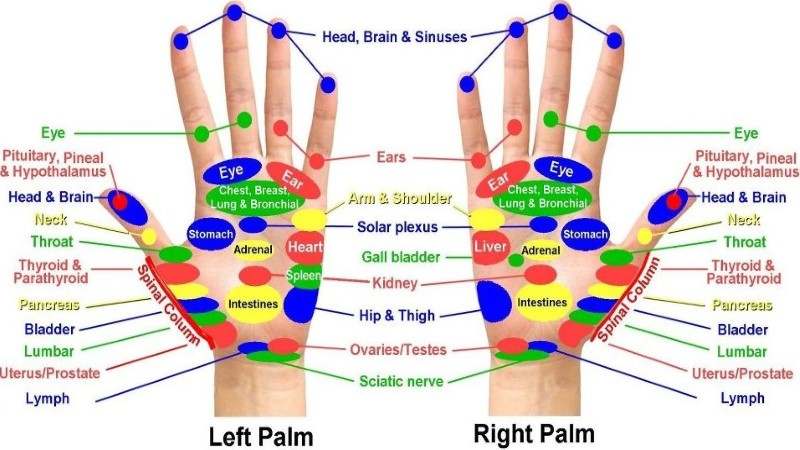 Acupressure points chart pdf