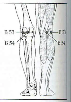 Acupressure Points for Diabetes Support 4 Important Acupressure Points for Back Pain