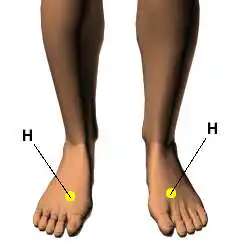 Acupressure Points for Diabetes Support 5 Feet Acupoints