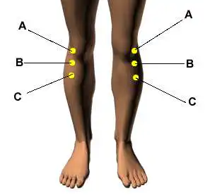 Acupressure Points for Diabetes Support 7 Back of Knee Acupoint