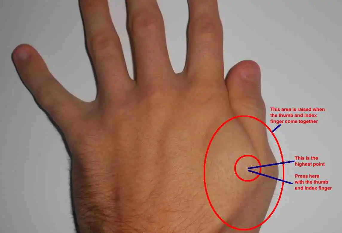 Acupressure Points for Diabetes Support 2 Between Index Finger and Thumb