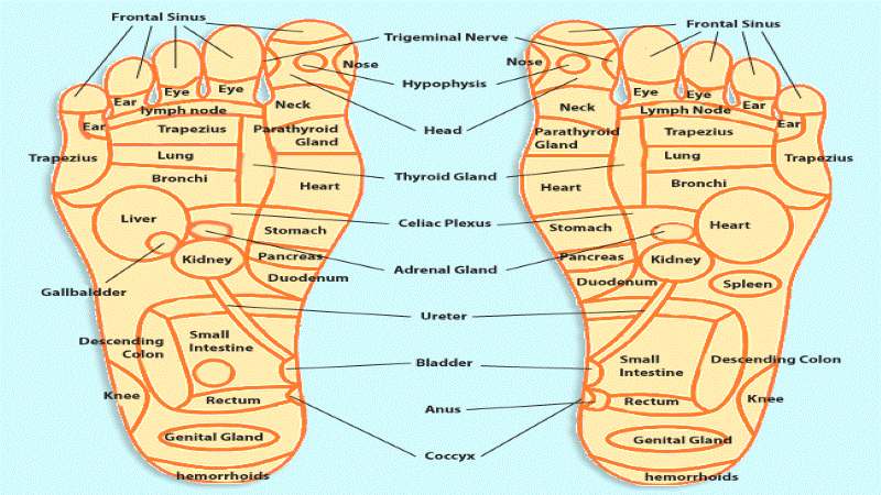 Acupressure Points Foot Chart