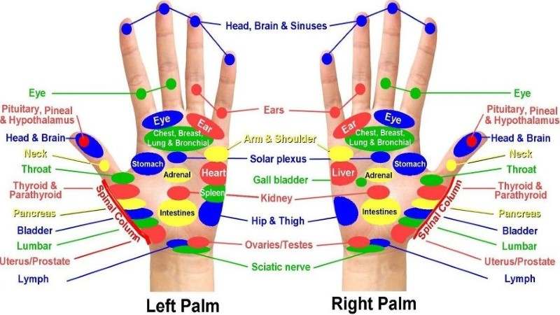Acupressure Points Chart For Relieving Pain Acupressure Points