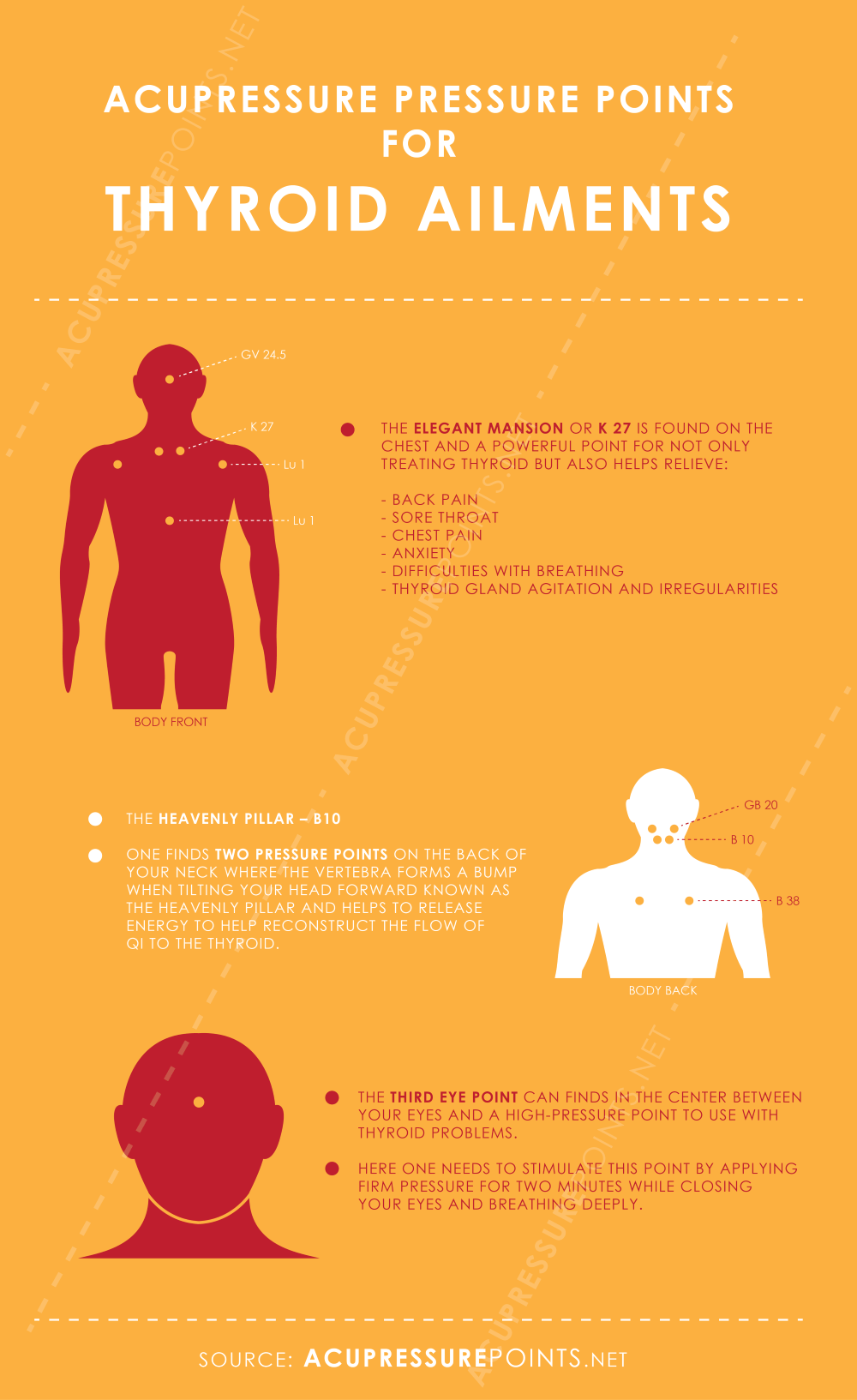 Acupressure Points for Thyroid Infographic