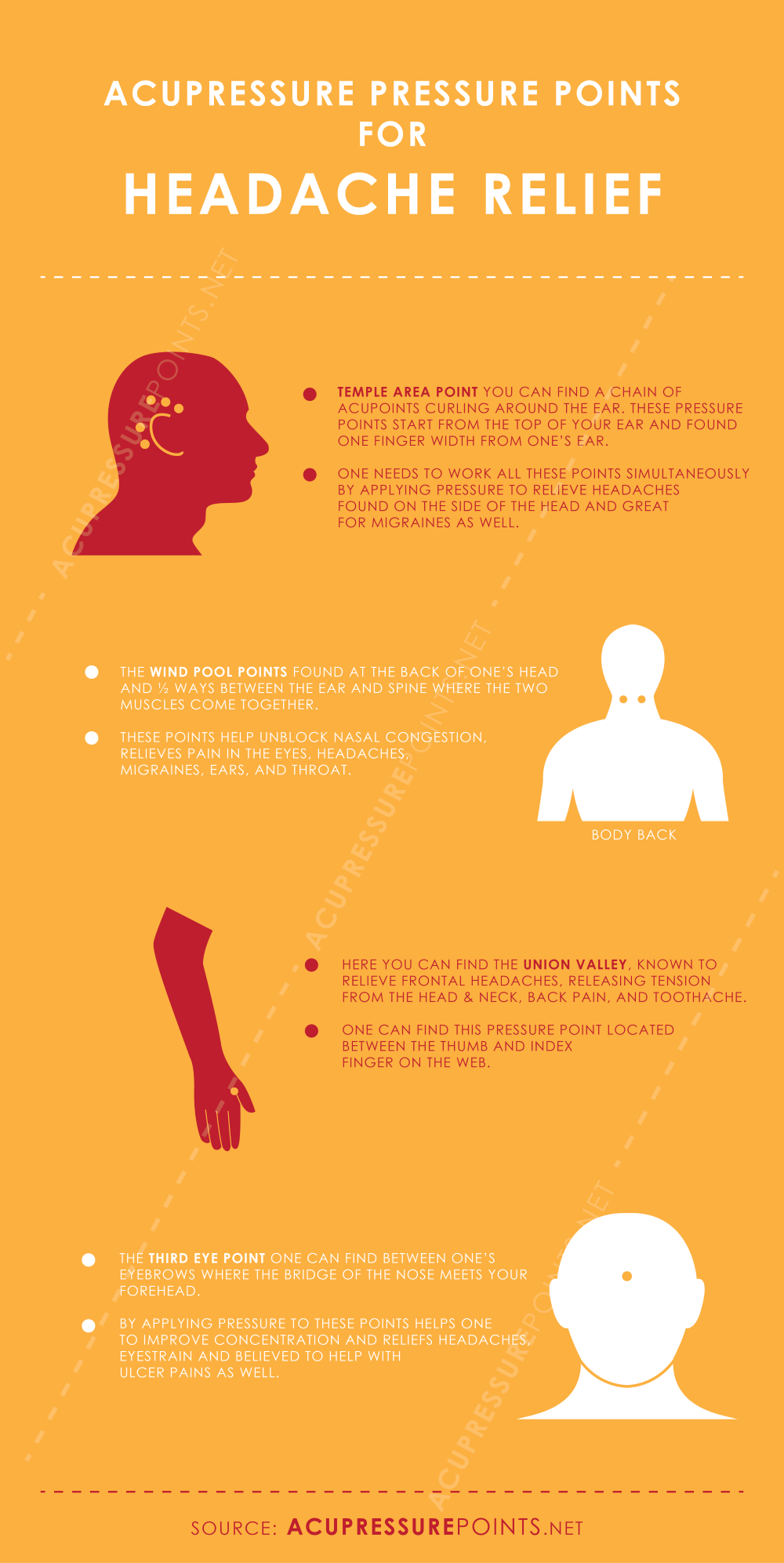 Headache Acupressure Points Chart