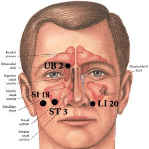 Facial Beauty Acupressure Point