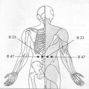 Sea of Vitality also known as the Lower Back Pressure Points