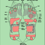 Foot Reflexology Sole Chart