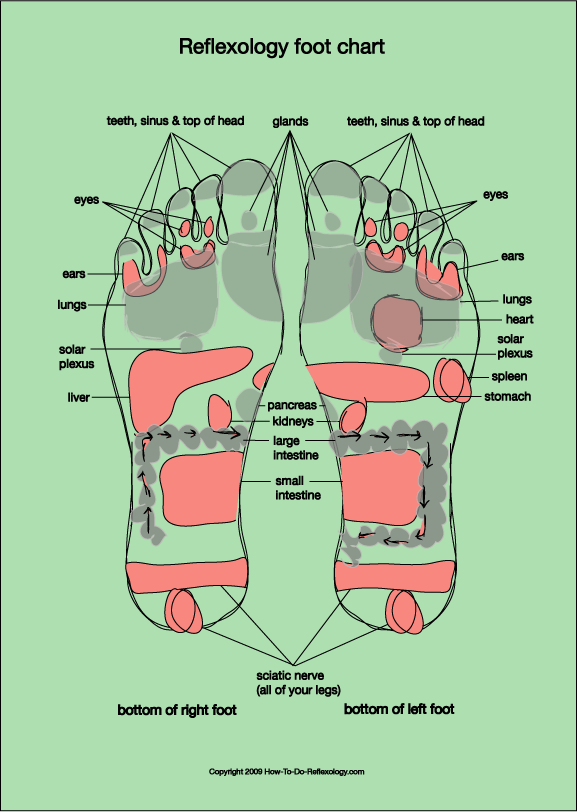 Foot Reflexology Sole Chart
